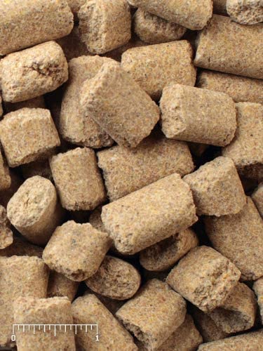 LabDiet Prolab RMH 3000 Lab Blocks – 22% Protein Rodent Diet