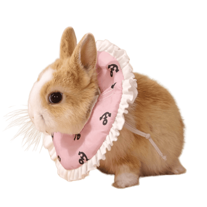 Munchies Soft Lace Recovery Cone – Adjustable Muzzle Collar for Rats, Hamsters, Birds & Small Pets