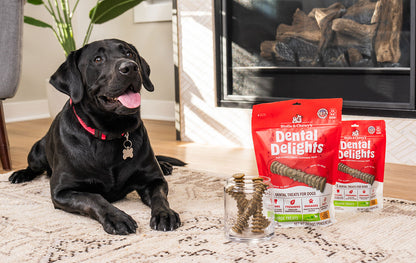 Stella and Chewy’s Dental Delights Large Dog Dental Treats 4pcs