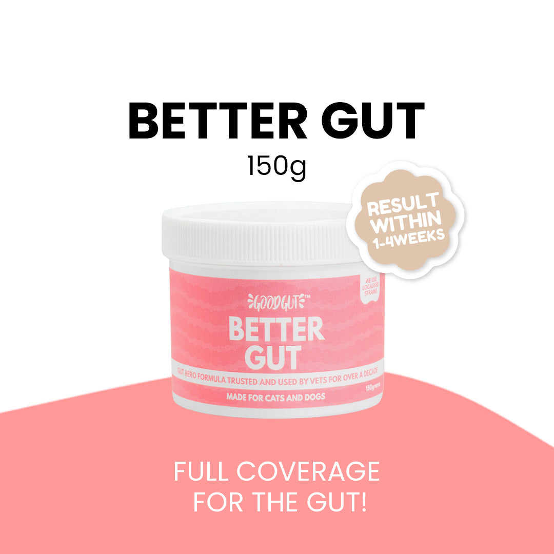 Good Gut Better Gut Probiotics Supplement for Cats and Dogs 150g