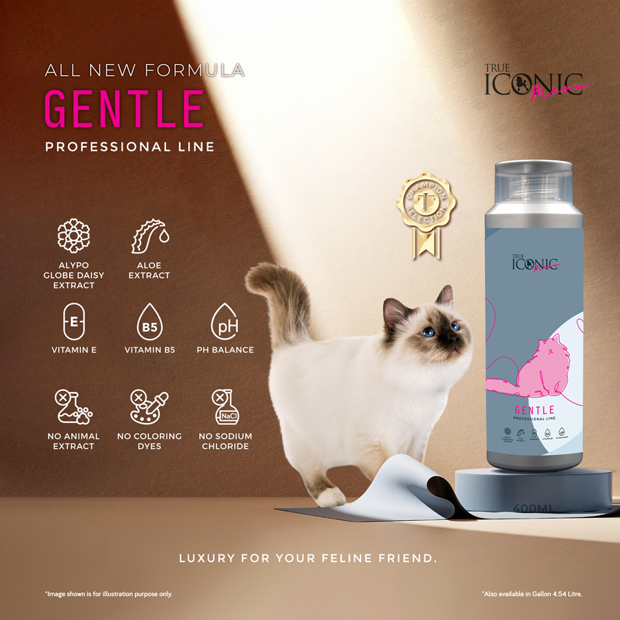 True Iconic Meow Texture Shampoo for Cats 1 Gallon Volume and Coat Definition