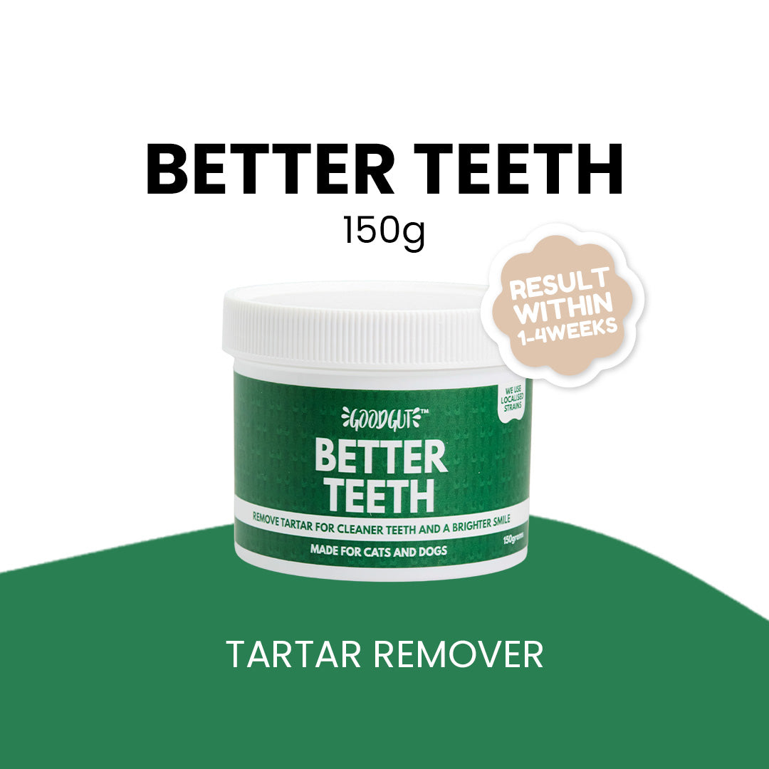Good Gut Better Teeth Probiotics Supplement for Cats and Dogs 150g