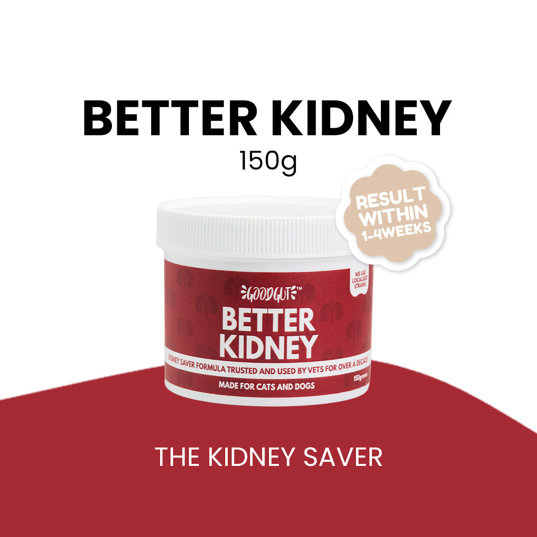 Good Gut Better Kidney Probiotics Supplement for Cats and Dogs 150g