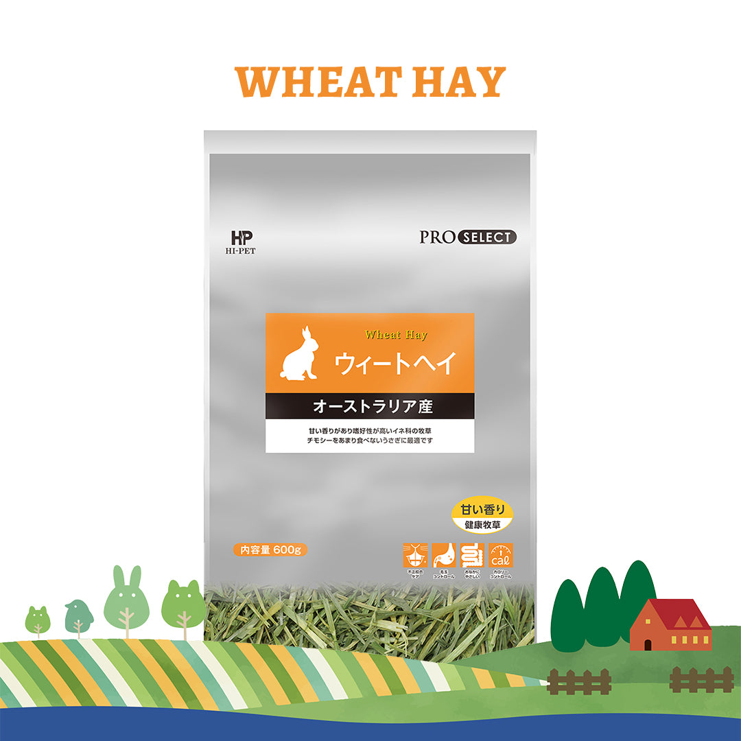 Hi‑Pet Pro‑Select Wheat Hay 600 g – Australian Premium Hay for Rabbits & Small Pets