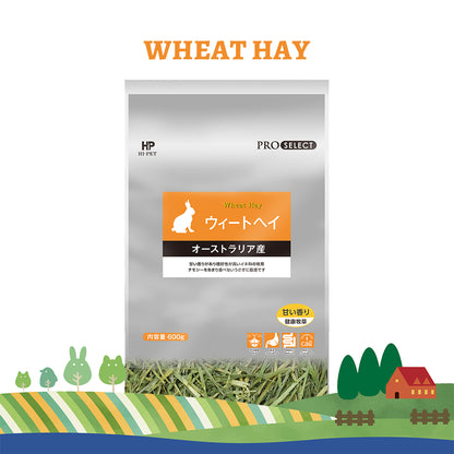 Hi‑Pet Pro‑Select Wheat Hay 600 g – Australian Premium Hay for Rabbits & Small Pets