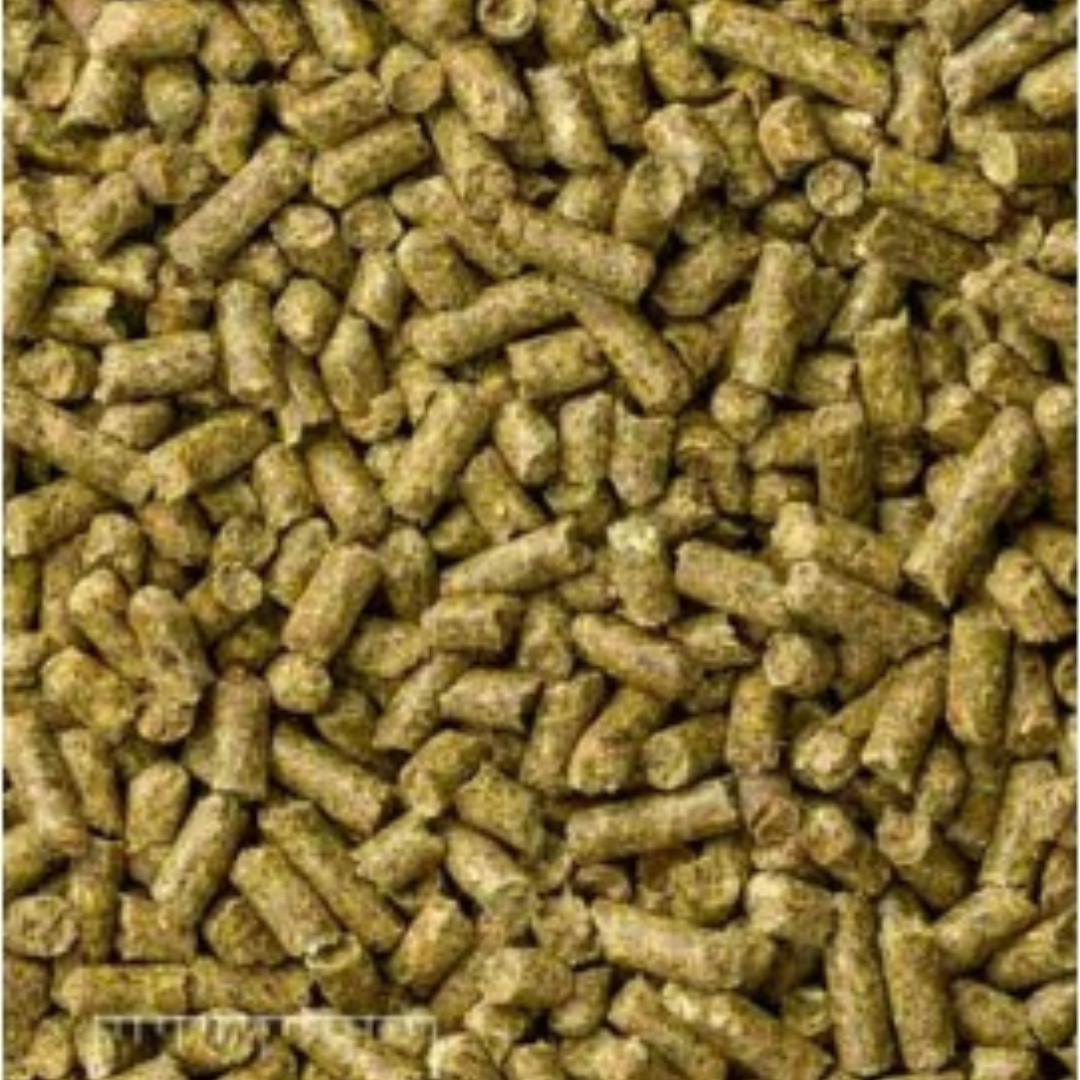 Mazuri Chinchilla Diet – High-Fibre, Vet-Backed Nutrition