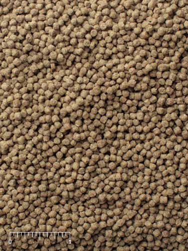 Mazuri Exotic Gamebird Starter – Complete Nutrition for Young Ornamental Birds