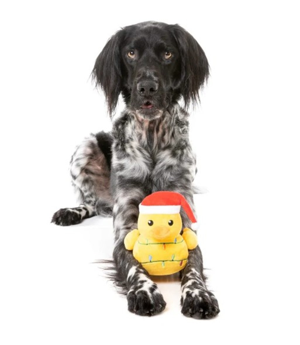 FuzzYard Christmas Merry Quackmas Plush Dog Toy