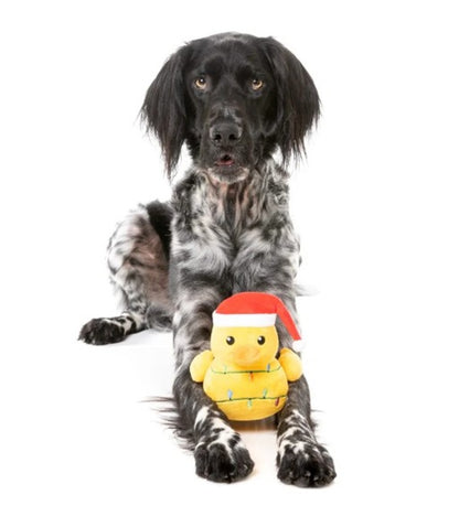 FuzzYard Christmas Merry Quackmas Plush Dog Toy