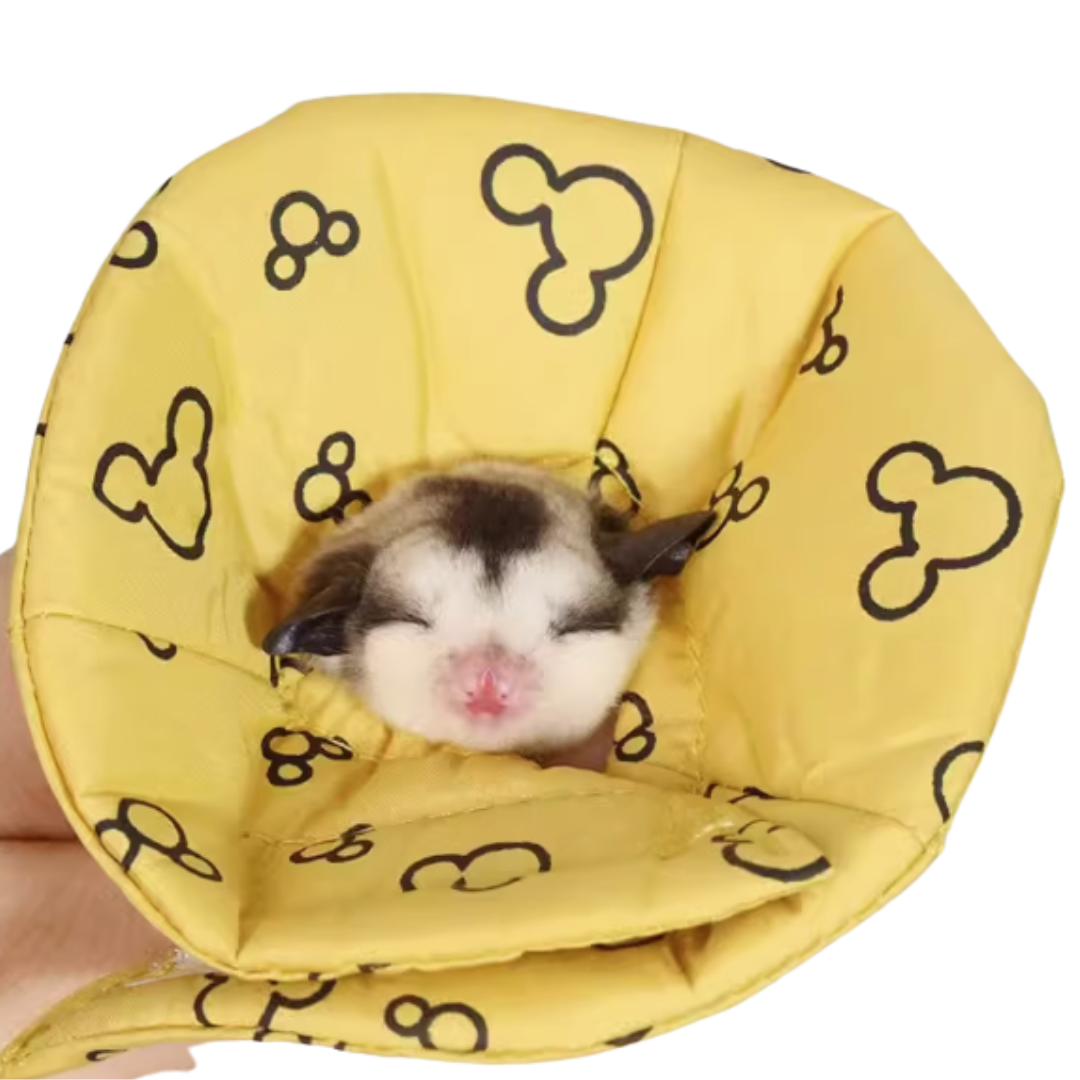 Munchies Soft Recovery Cone – Mouse Print Muzzle Collar for Rats, Mice, Hamsters & Birds