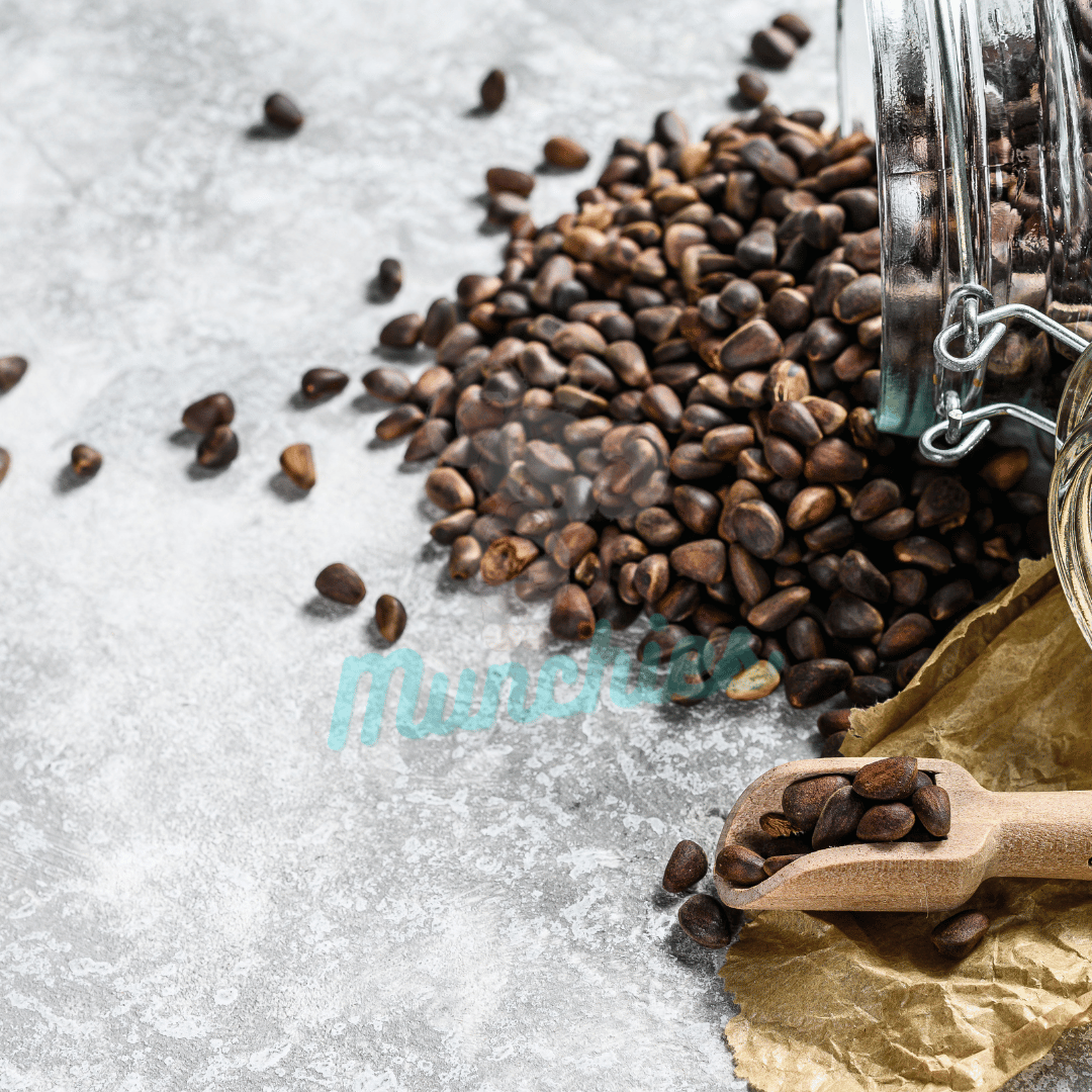 Munchies Premium Raw Pine Nuts – Human Grade Treat