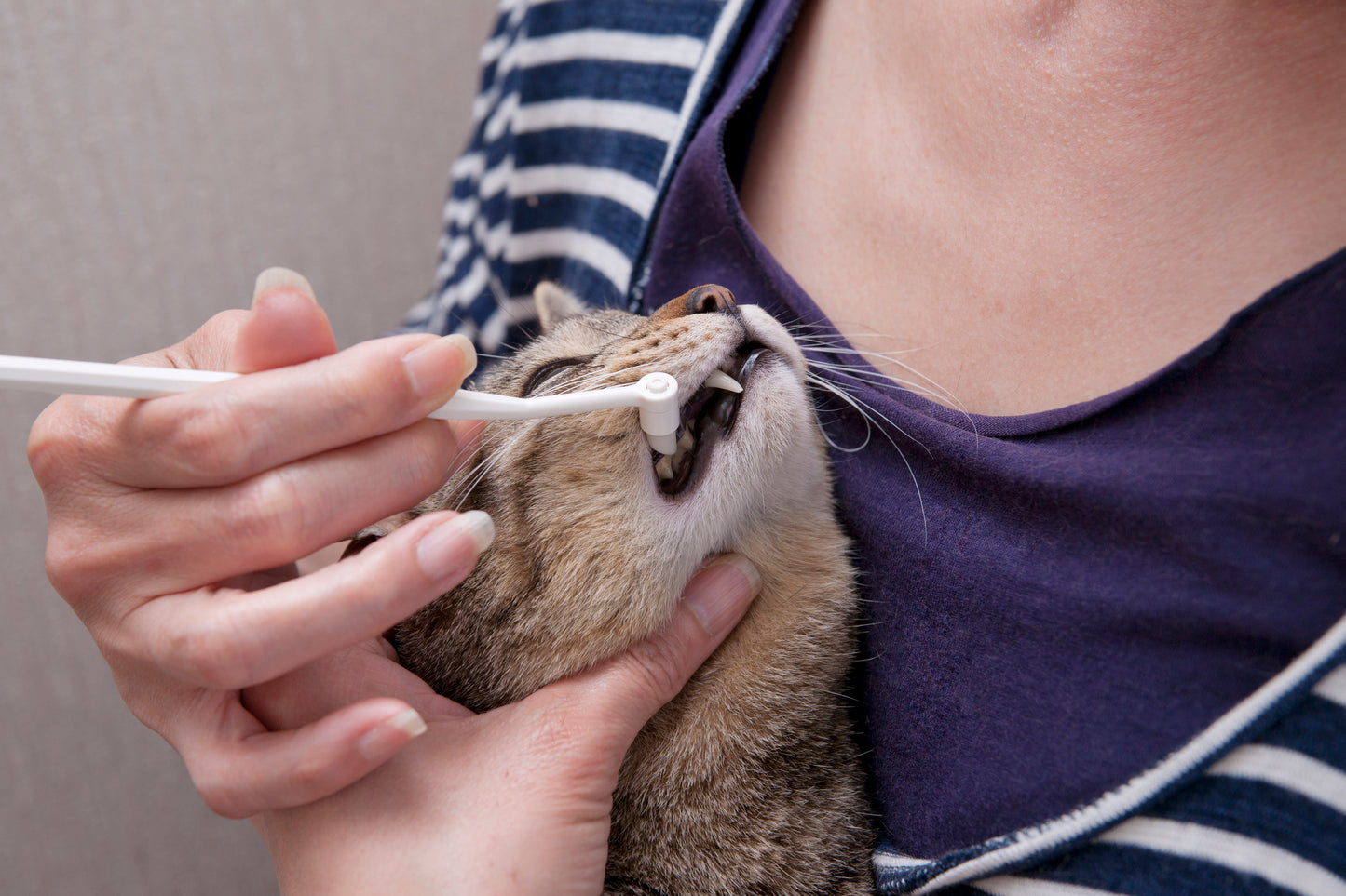 Mind Up Nyanko Care Tooth Cleaner for Cats Silicone Dental Tool