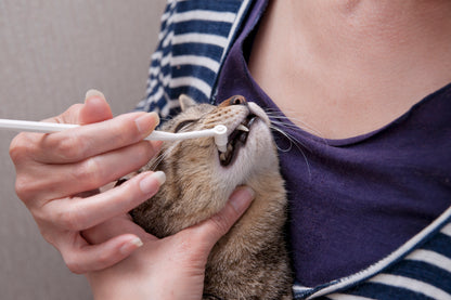Mind Up Nyanko Care Tooth Cleaner for Cats Silicone Dental Tool