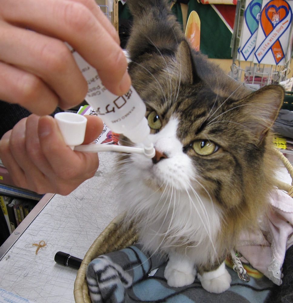 Mind Up Nyanko Care Toothbrushing Liquid for Cats 30ml
