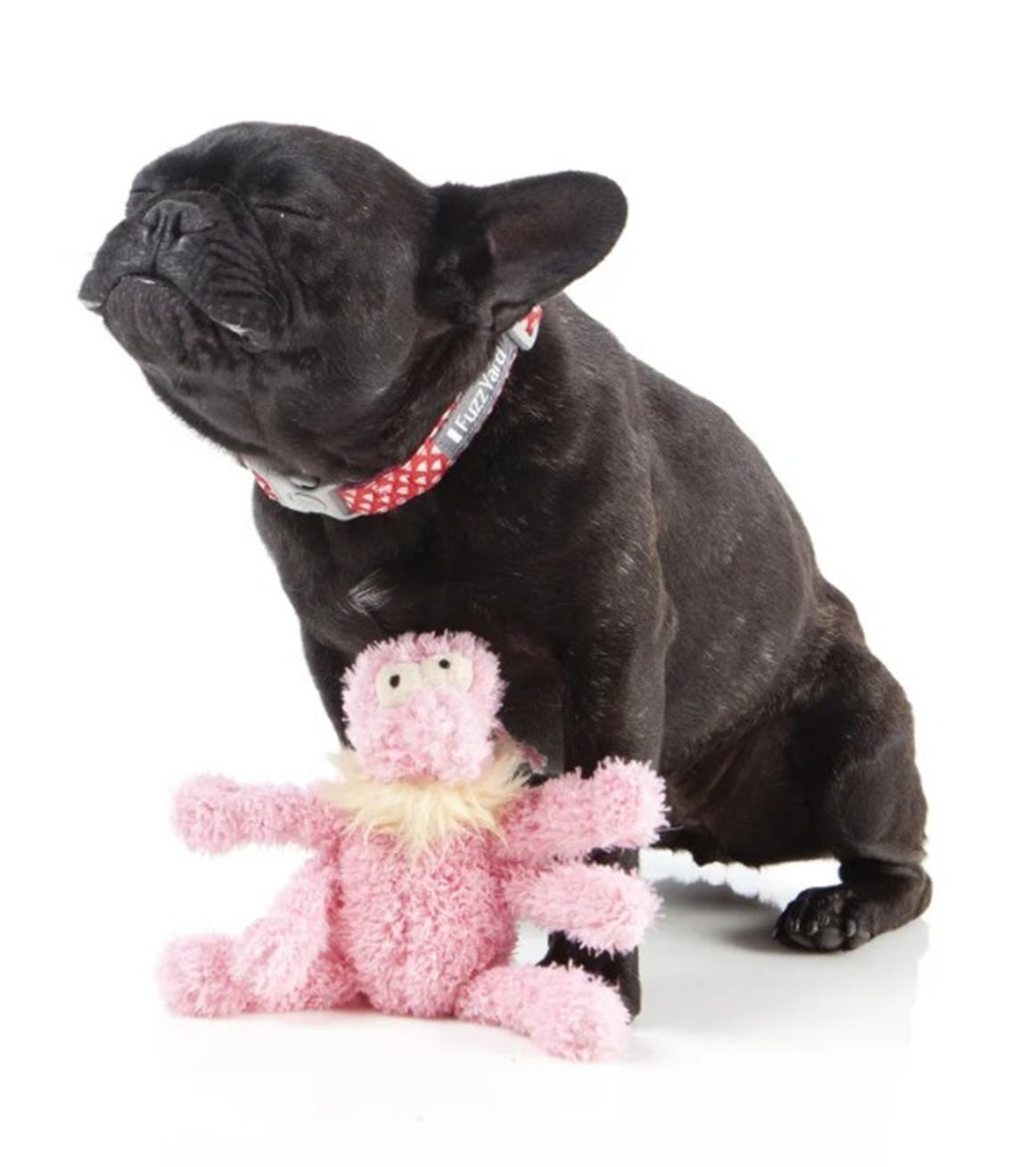 FuzzYard Scratchette Pink Flea Plush Dog Toy with Squeaker