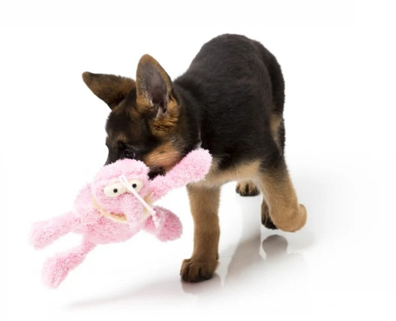 FuzzYard Scratchette Pink Flea Plush Dog Toy with Squeaker