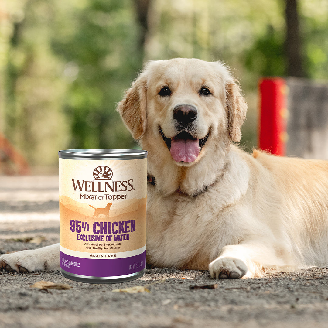 Wellness 95% Chicken Grain Free Wet Dog Food 13.2oz | Pate Mixer & Snack