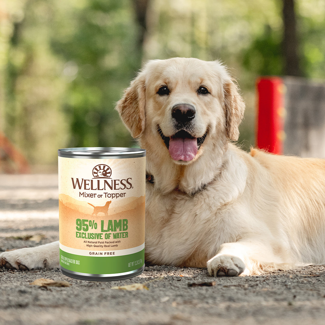 Wellness 95% Lamb Grain Free Wet Dog Food 13.2oz | Pate Mixer & Snack