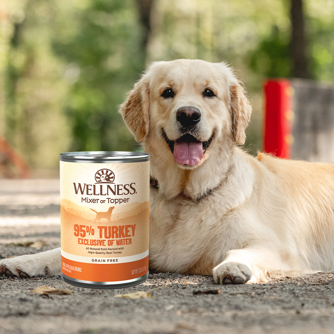 Wellness 95% Turkey Grain Free Wet Dog Food 13.2oz | Pate Mixer & Snack