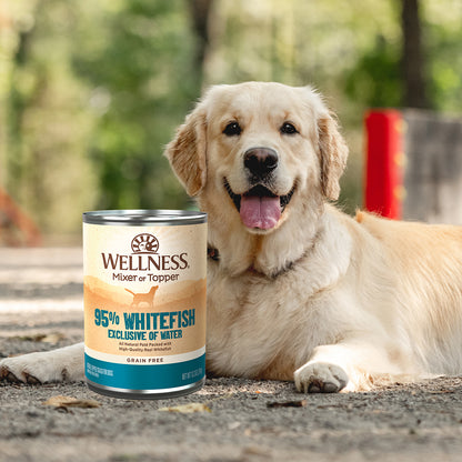 Wellness 95% Whitefish Grain Free Wet Dog Food 13.2oz | Pate Mixer & Snack