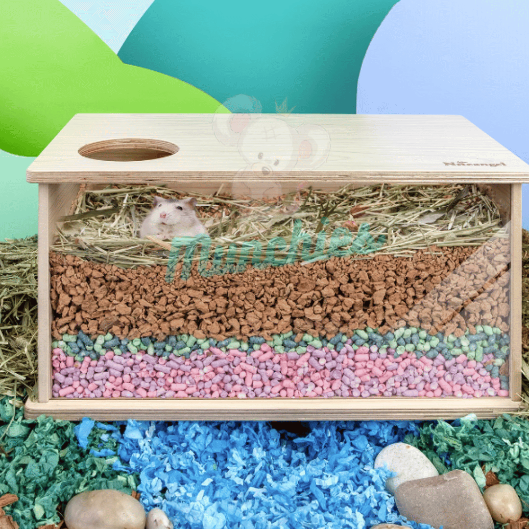 NiteAngel Visible Digging Box – Natural Enrichment for Rats & Hamsters