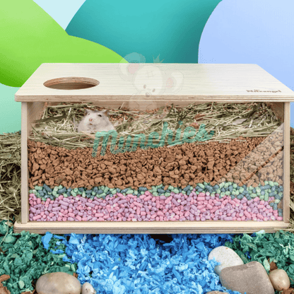 NiteAngel Visible Digging Box – Natural Enrichment for Rats & Hamsters