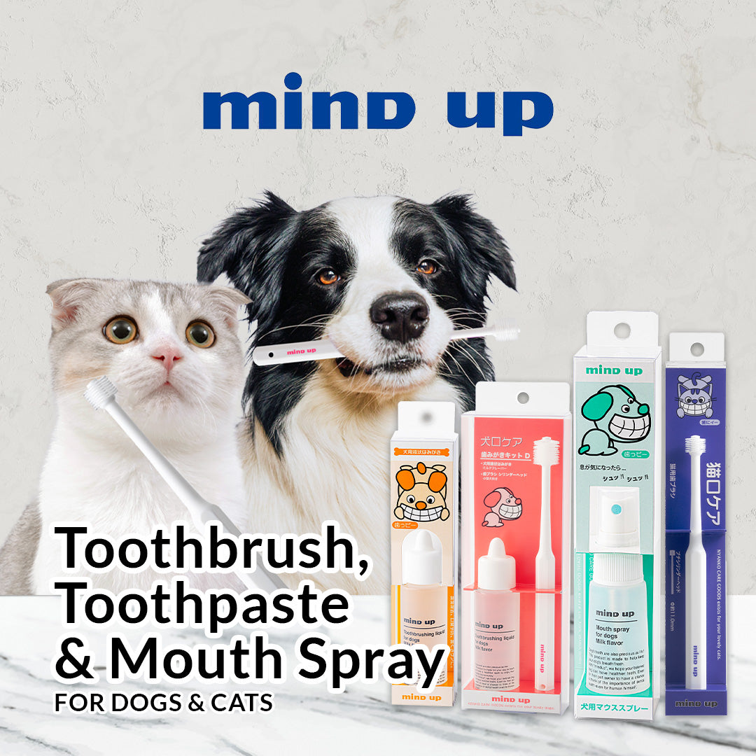 Mind Up Kenko Care Toothbrushing Kit B Small Soft for Dogs