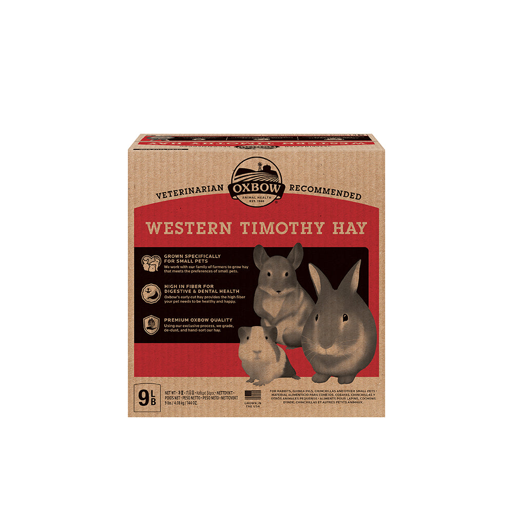 Oxbow Orchard Grass Hay for Small Pets