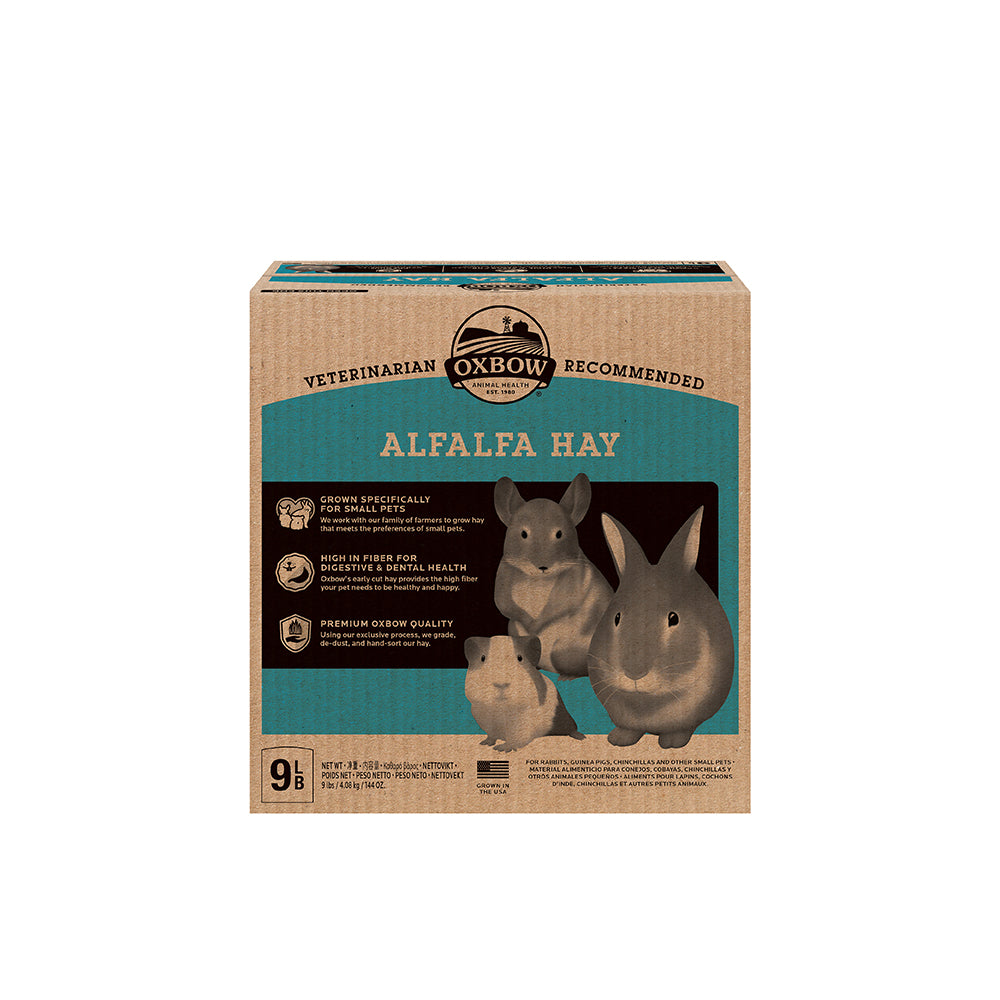 Oxbow Alfalfa Hay for Small Pets