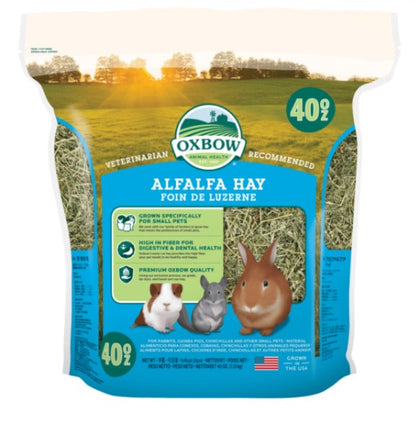 Oxbow Alfalfa Hay for Small Pets