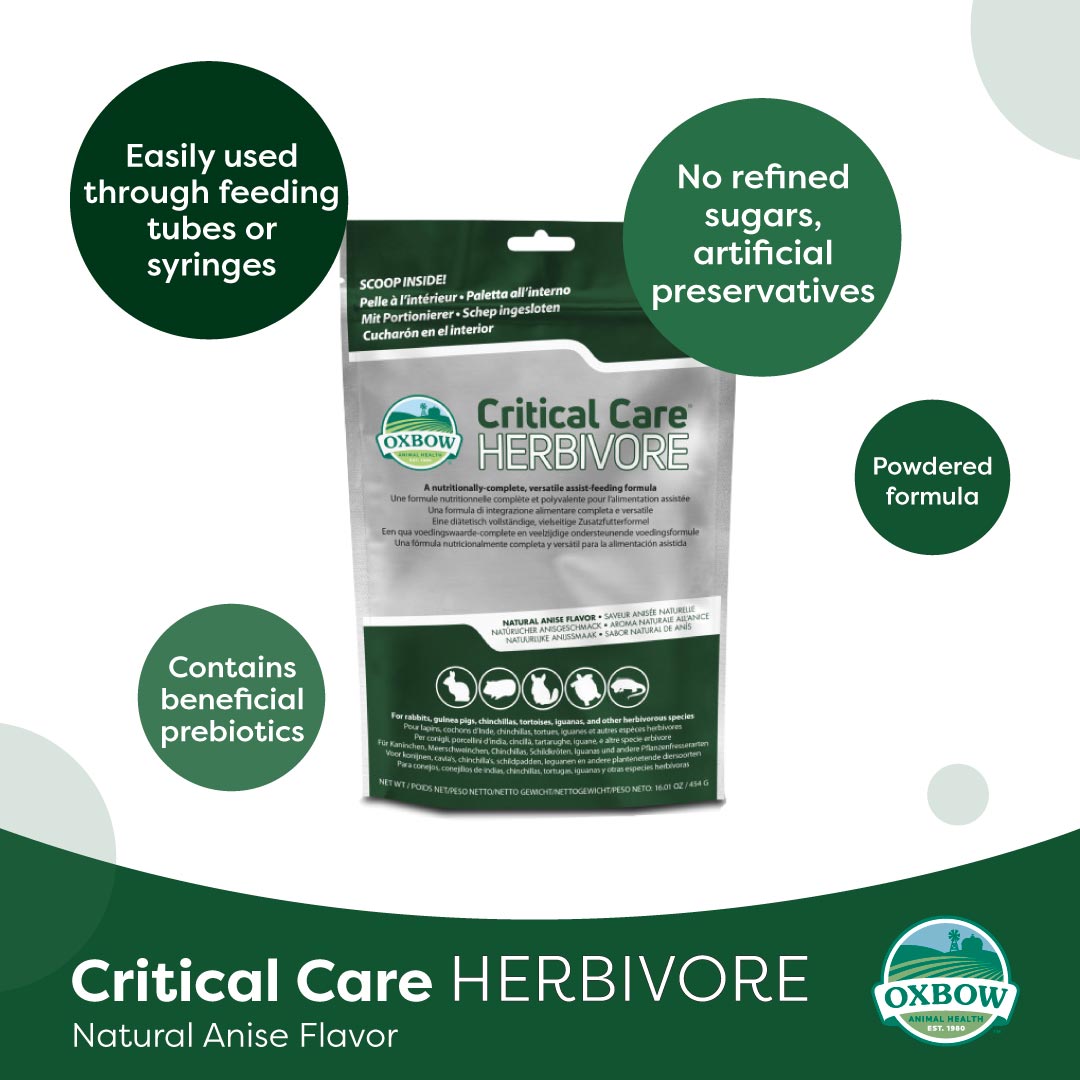 Oxbow Critical Care Herbivore – Anise Flavour | Recovery Food for Small Pets