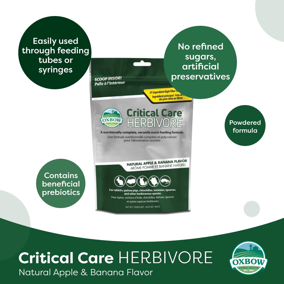 Oxbow Critical Care Herbivore – Apple Banana | Recovery Food for Small Pets