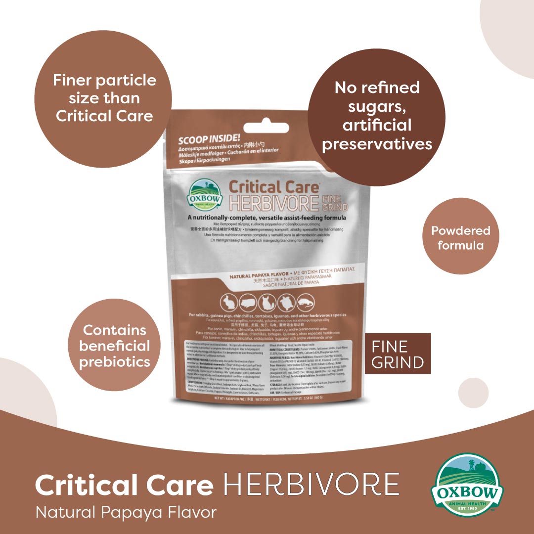 Oxbow Critical Care Herbivore Fine Grind – Papaya | Recovery Food for Small Pets