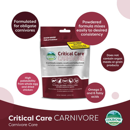 Oxbow Critical Care Carnivore | Recovery Food for Meat-Eating Small Pets