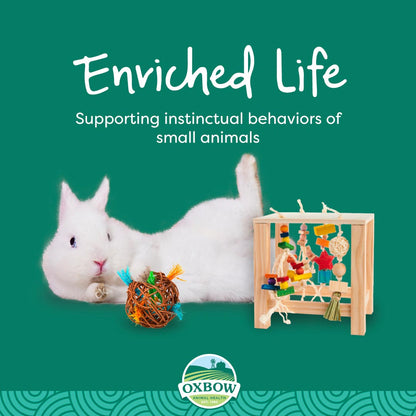 Oxbow Enriched Life Play Post for Small Pets