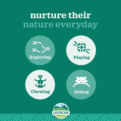 Oxbow Enriched Life Play Post for Small Pets