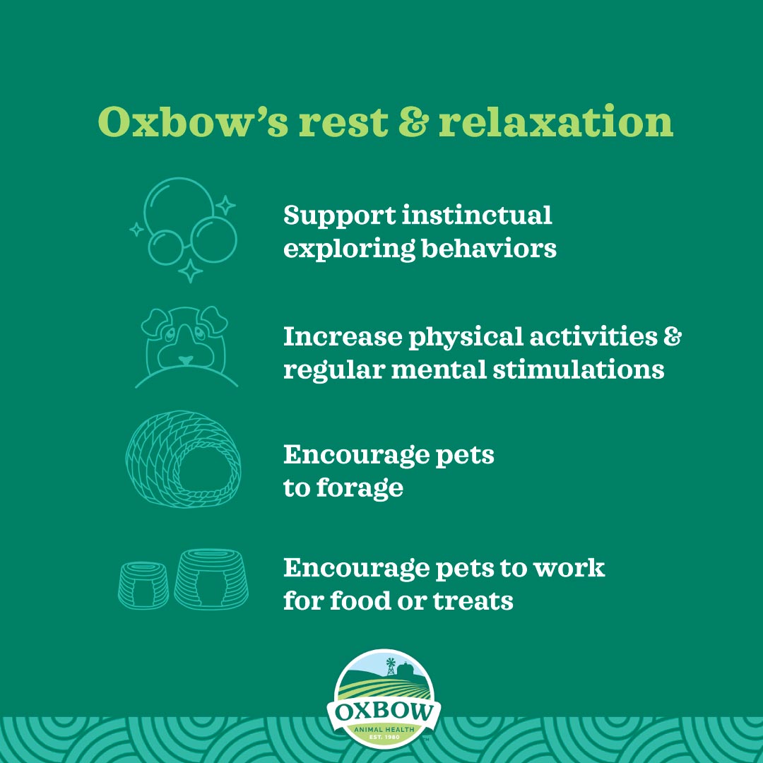 Oxbow Timothy Club Timothy Twists for Small Pets