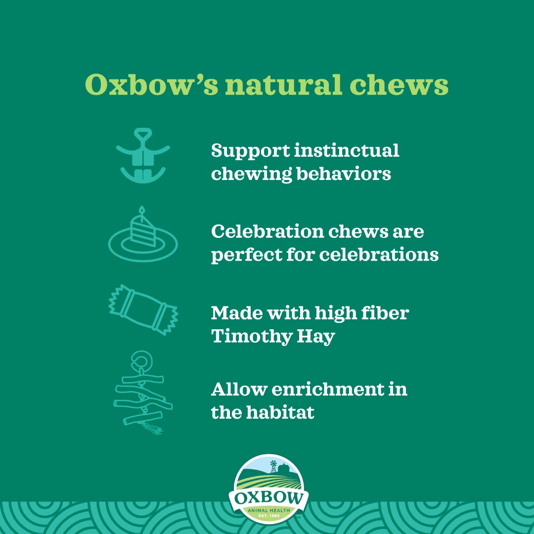 Oxbow Alfalfa Hay for Small Pets