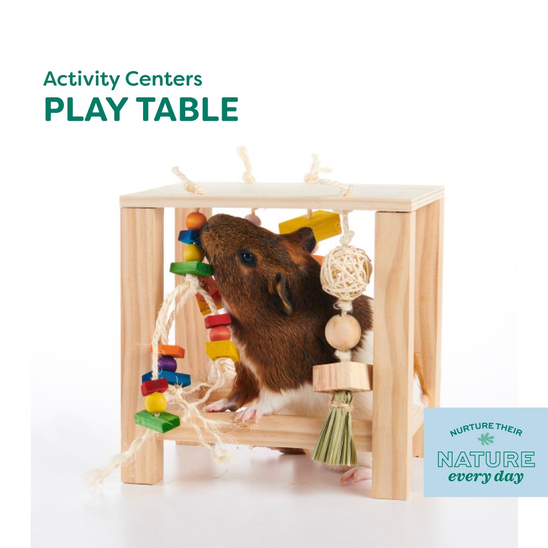 Oxbow Enriched Life Play Table for Small Pets