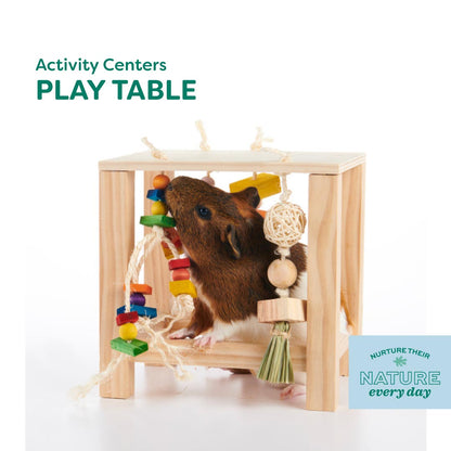 Oxbow Enriched Life Play Table for Small Pets