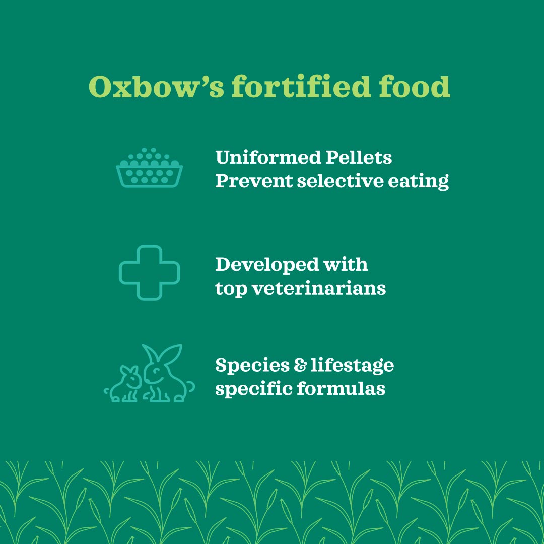 [Up to 25% off] Oxbow Essentials Hamster & Gerbil Food