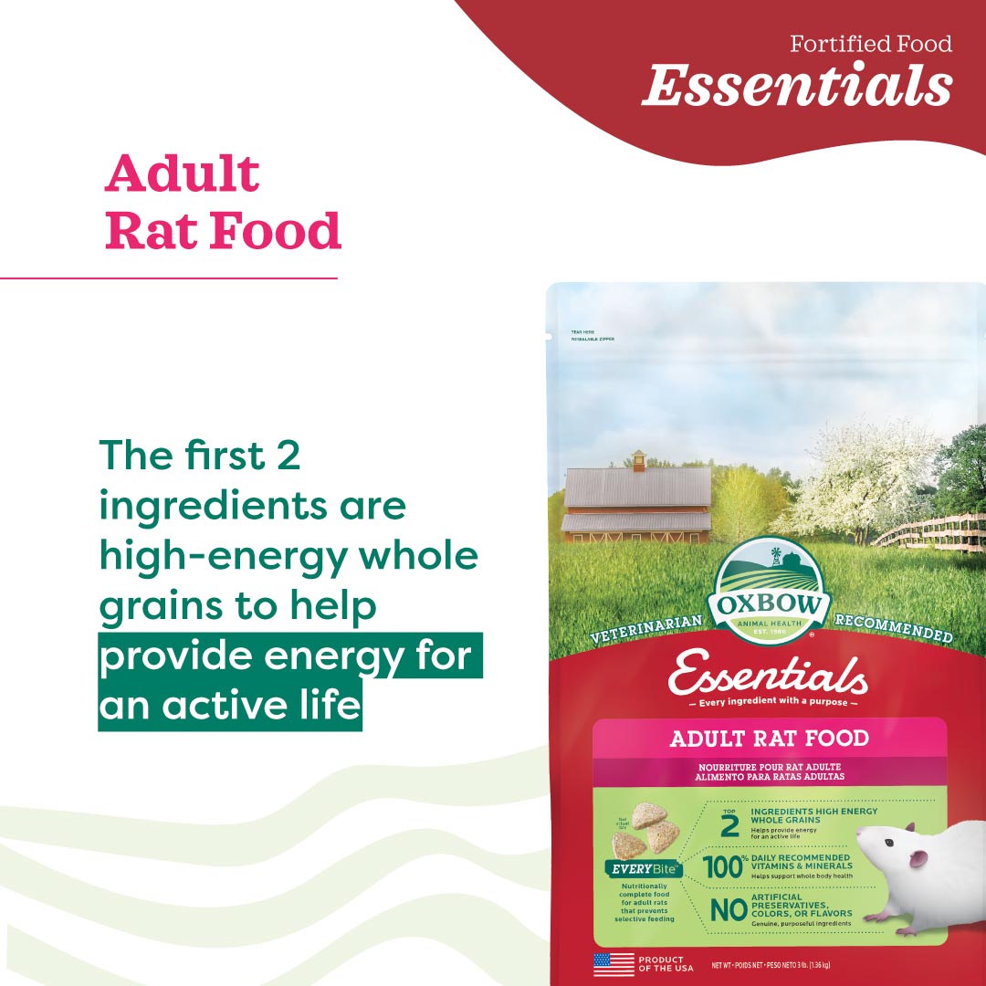 Oxbow Essentials Adult Rat Food