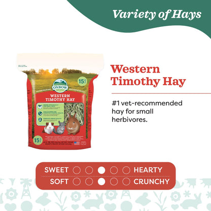 Oxbow Western Timothy Hay for Small Animals