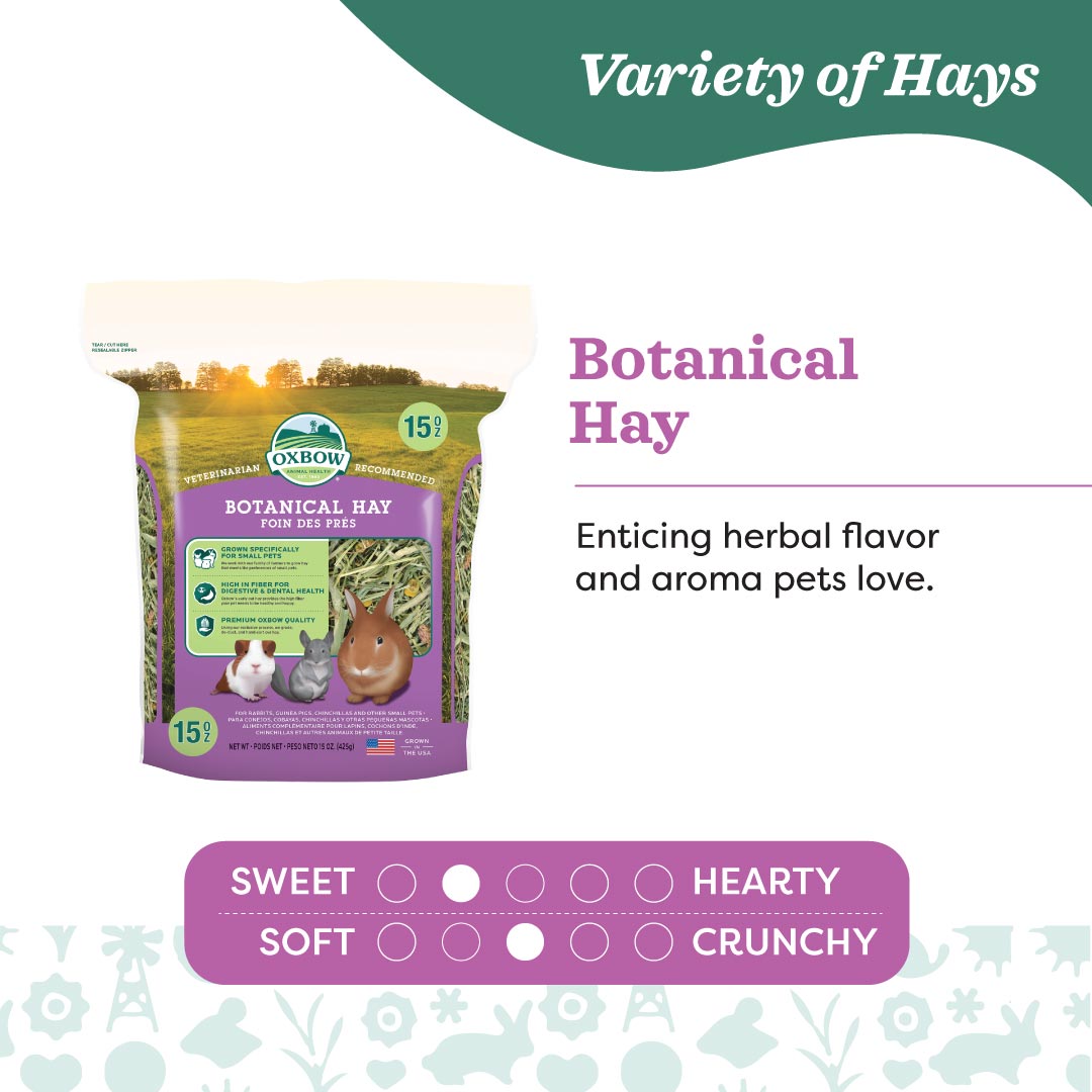 Oxbow Botanical Hay for Small Pets