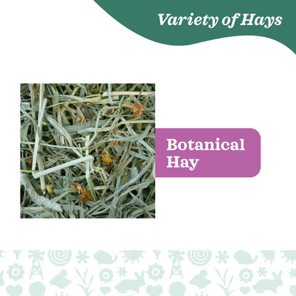 Oxbow Botanical Hay for Small Pets