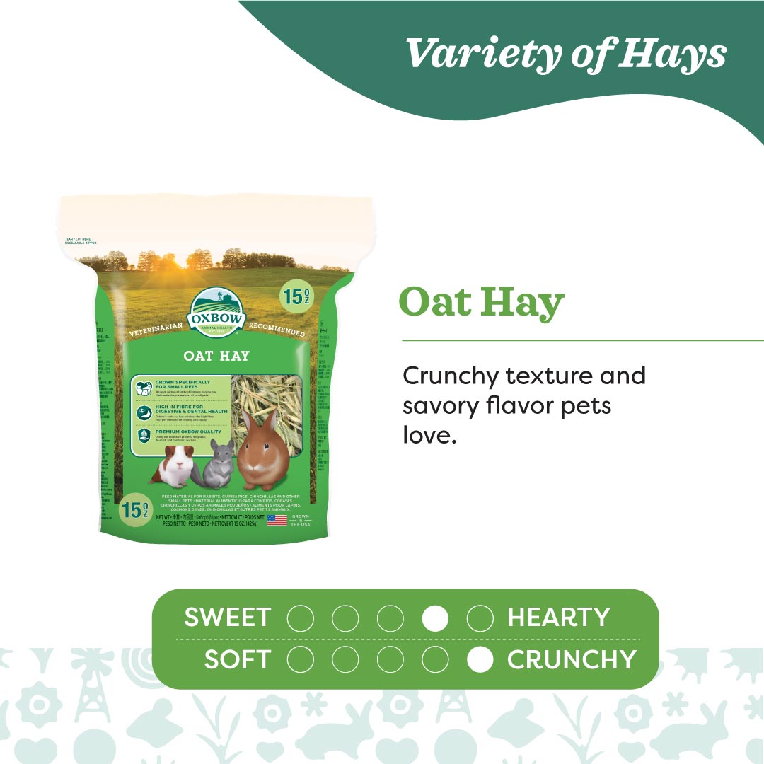 Oxbow Oat Hay for Small Pets