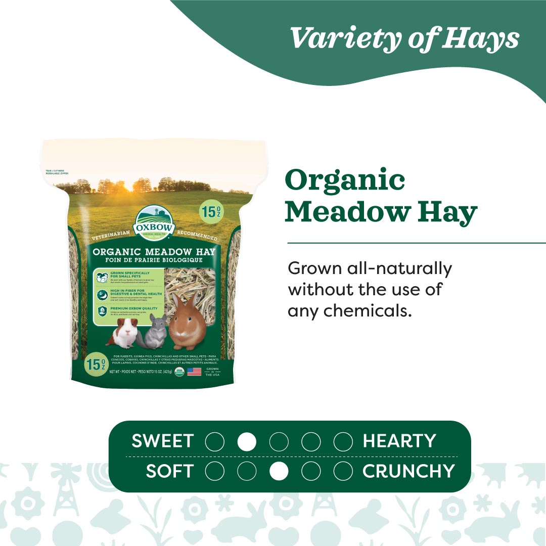 Oxbow Organic Meadow Hay for Small Pets