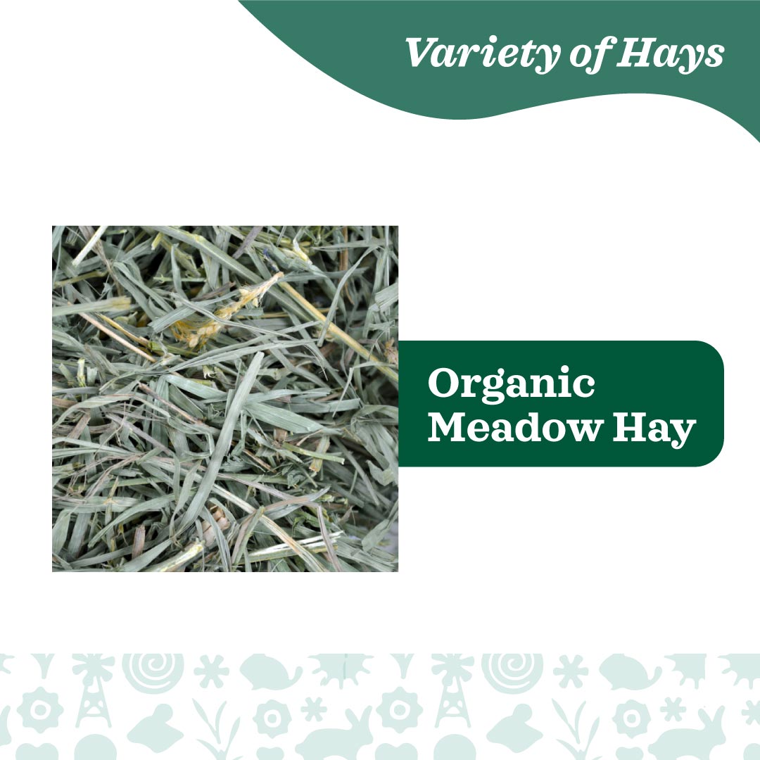 Oxbow Organic Meadow Hay for Small Pets
