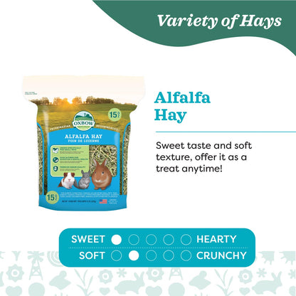Oxbow Alfalfa Hay for Small Pets