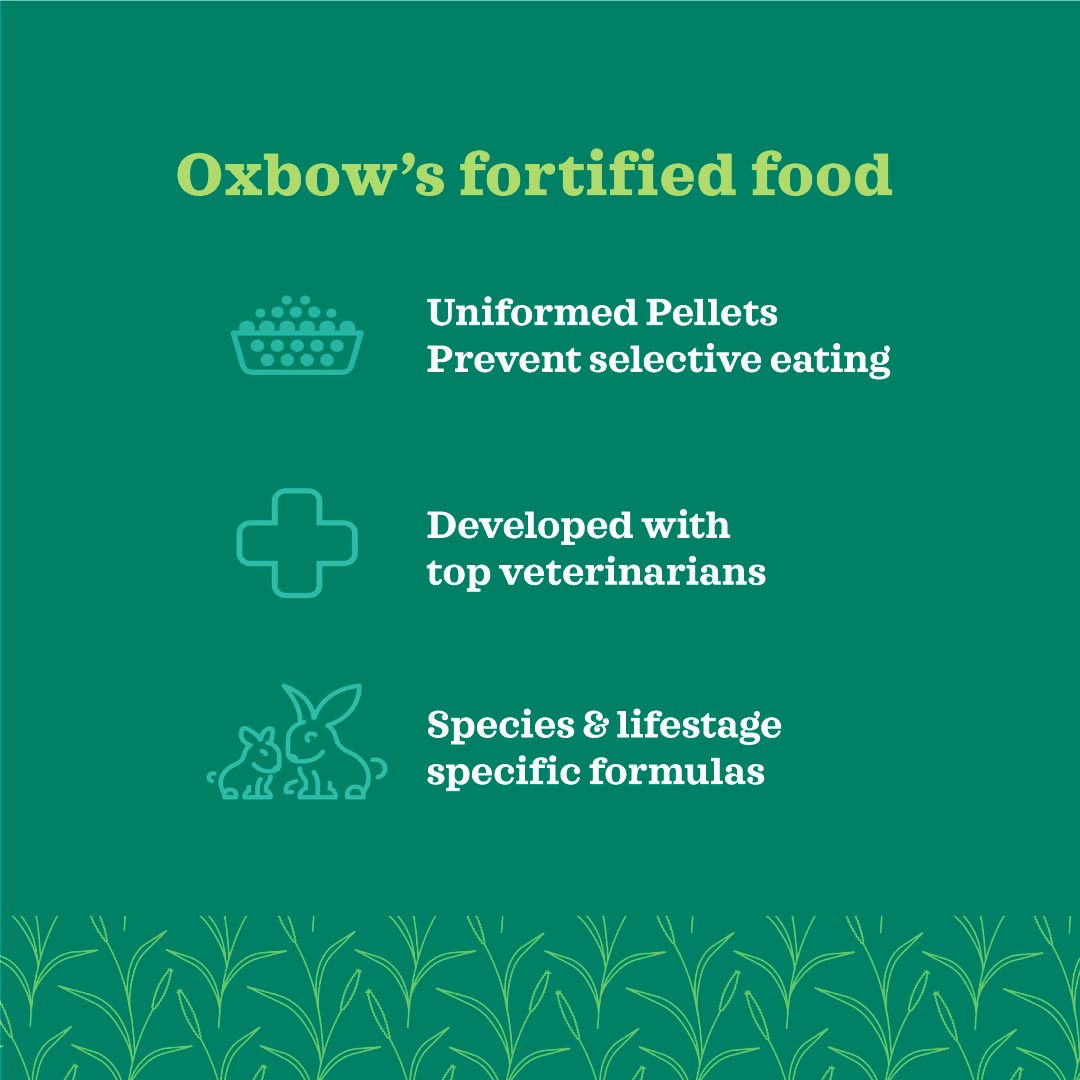 [Up to 25% off] Oxbow Organic Bounty Adult Rabbit Food
